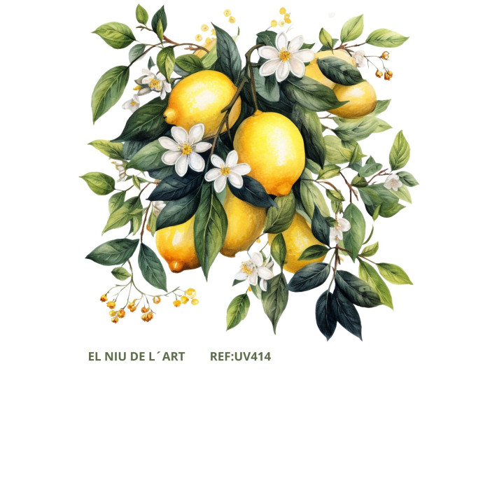 copy of 